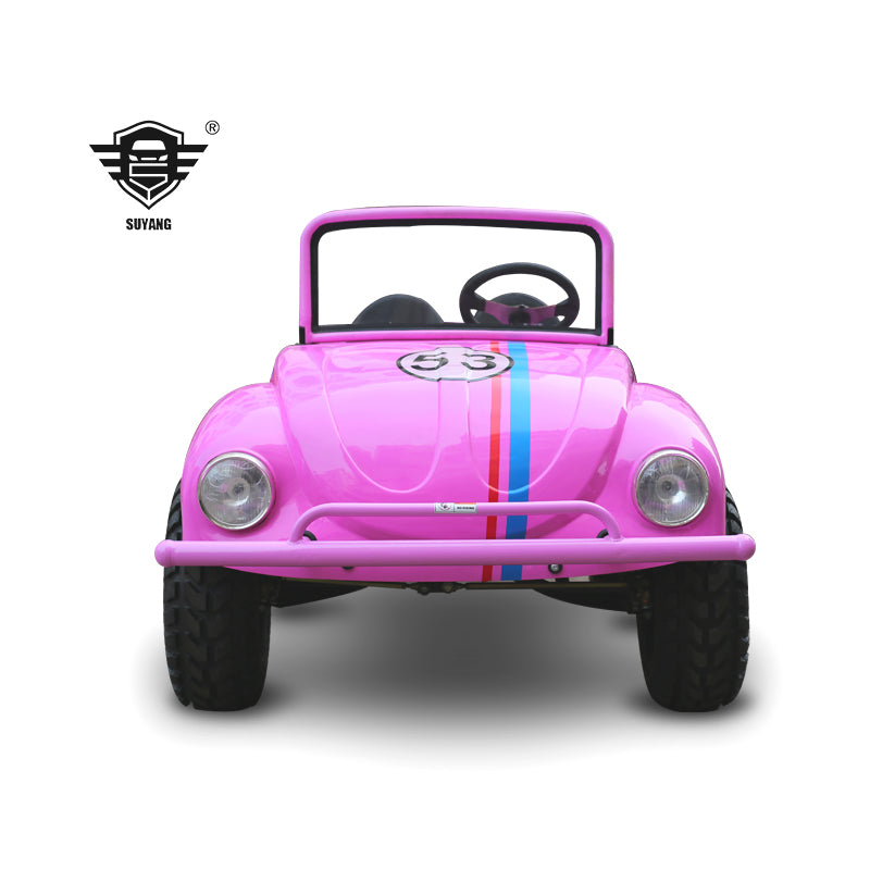 Speed Kart Beetle