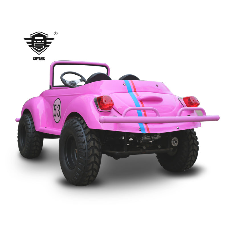 Speed Kart Beetle